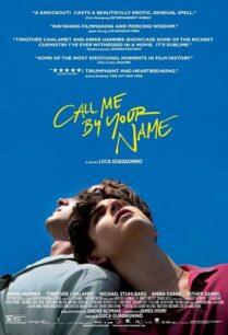 Call Me by Your Name (2017) เรียกฉันด้วยชื่อฉัน