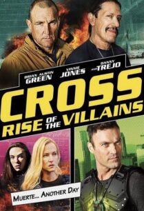 Cross 3 Rise of the Villains (2019) ครอส พลังกางเขนโค่นเดนนรก ภาค 3